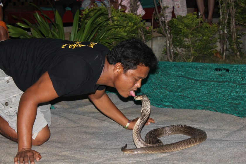 20141224_075330730_ios