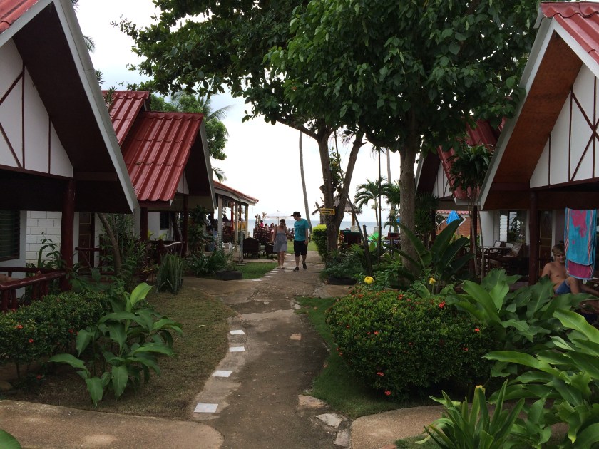 20141224_084450852_ios