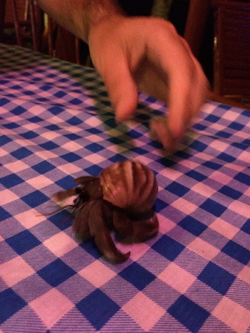 20141224_144238609_ios