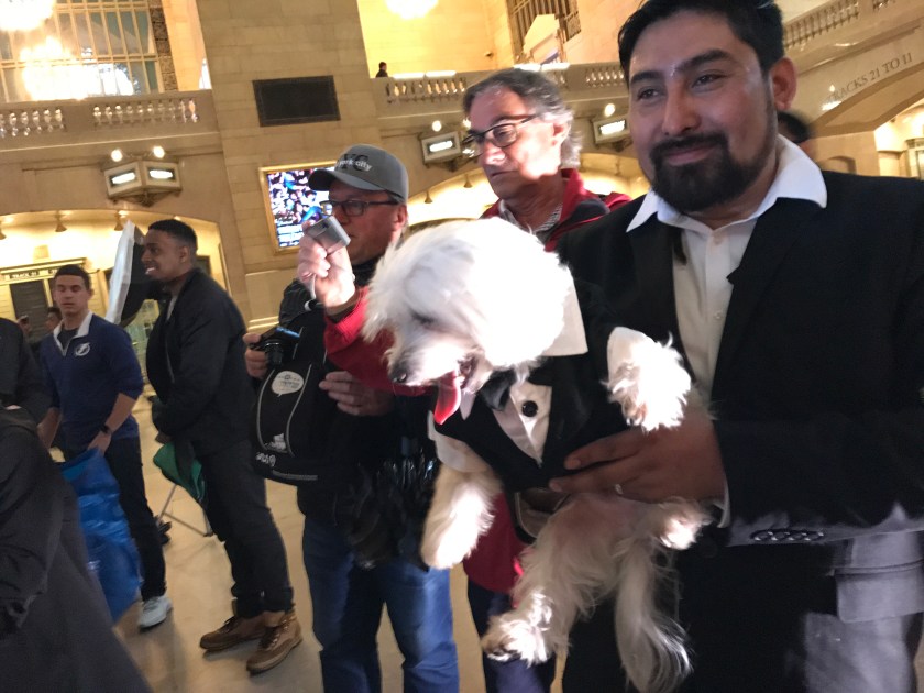 Bilde 13.05.2017, 15.50.23