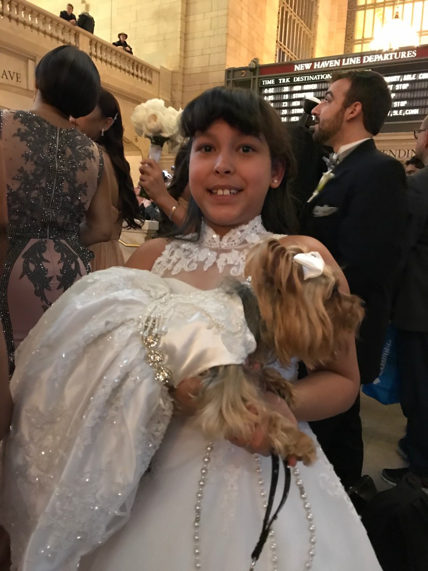 Bilde 13.05.2017, 15.54.36