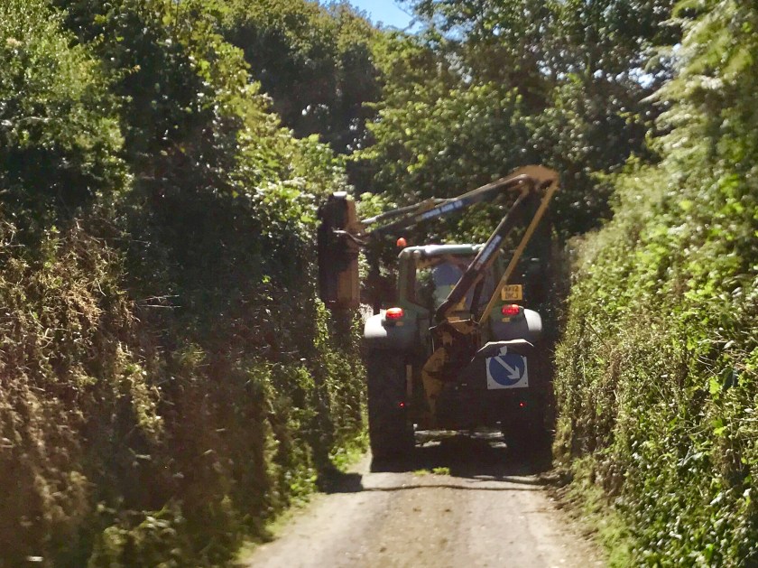 458C8192-FDDE-44C6-BD04-D5E6FDBB6327