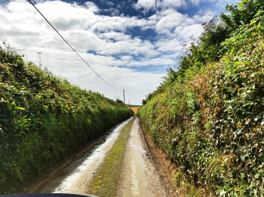 50496A26-8BF4-45D1-894E-D650EEE361DB