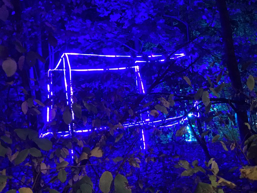 6146662C-1F06-482A-B0F4-D406D44417A2