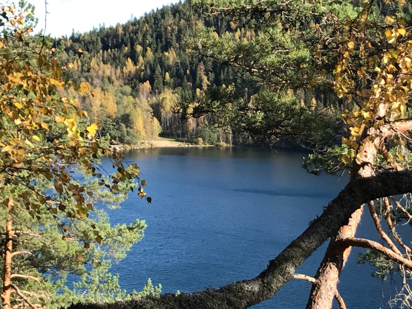 82BE593F-2F04-4488-A745-FBD50D79EDA4