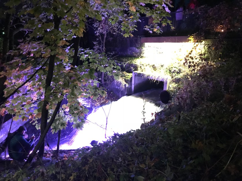 97243FDF-E758-4D69-97A7-6F6FBEDD63D7