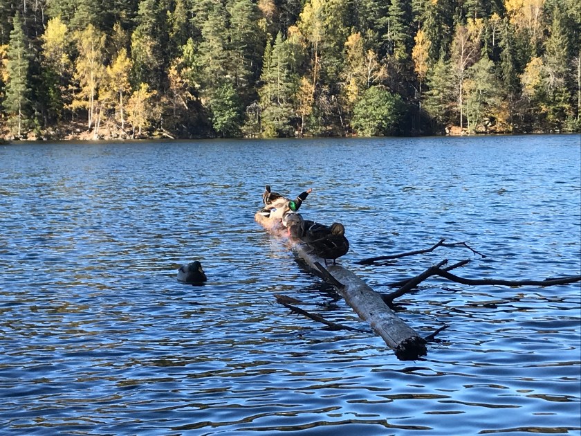 BBB4FC20-F38F-46E7-8C02-08CE87F5802E