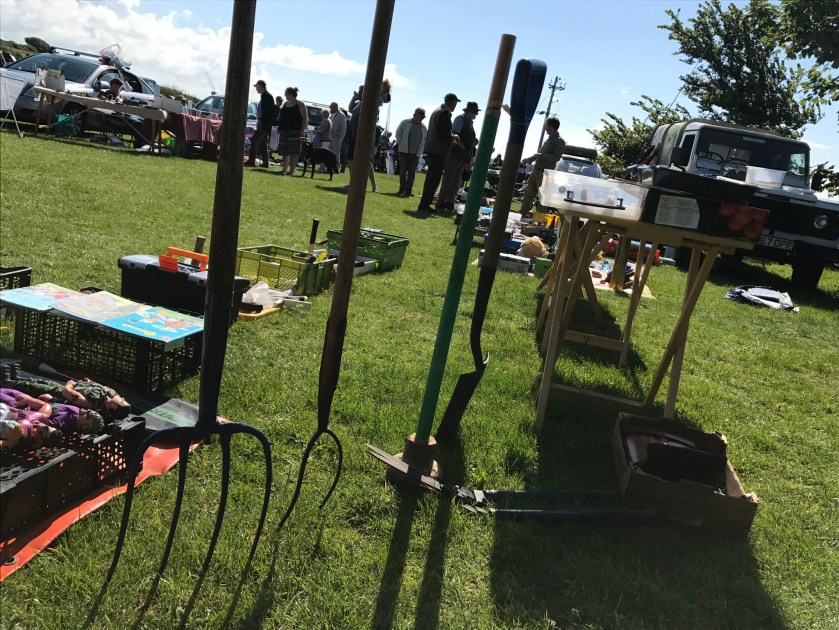 C763762F-2CFA-46B1-B83E-316AEA19237F