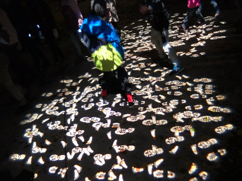 E833938F-20F4-41B9-BC37-B534879825AF