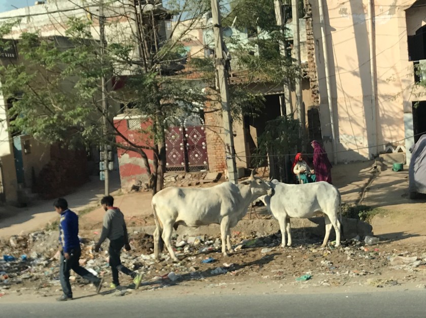 0C250CF7-534A-4D7D-A559-F202C35A3D76