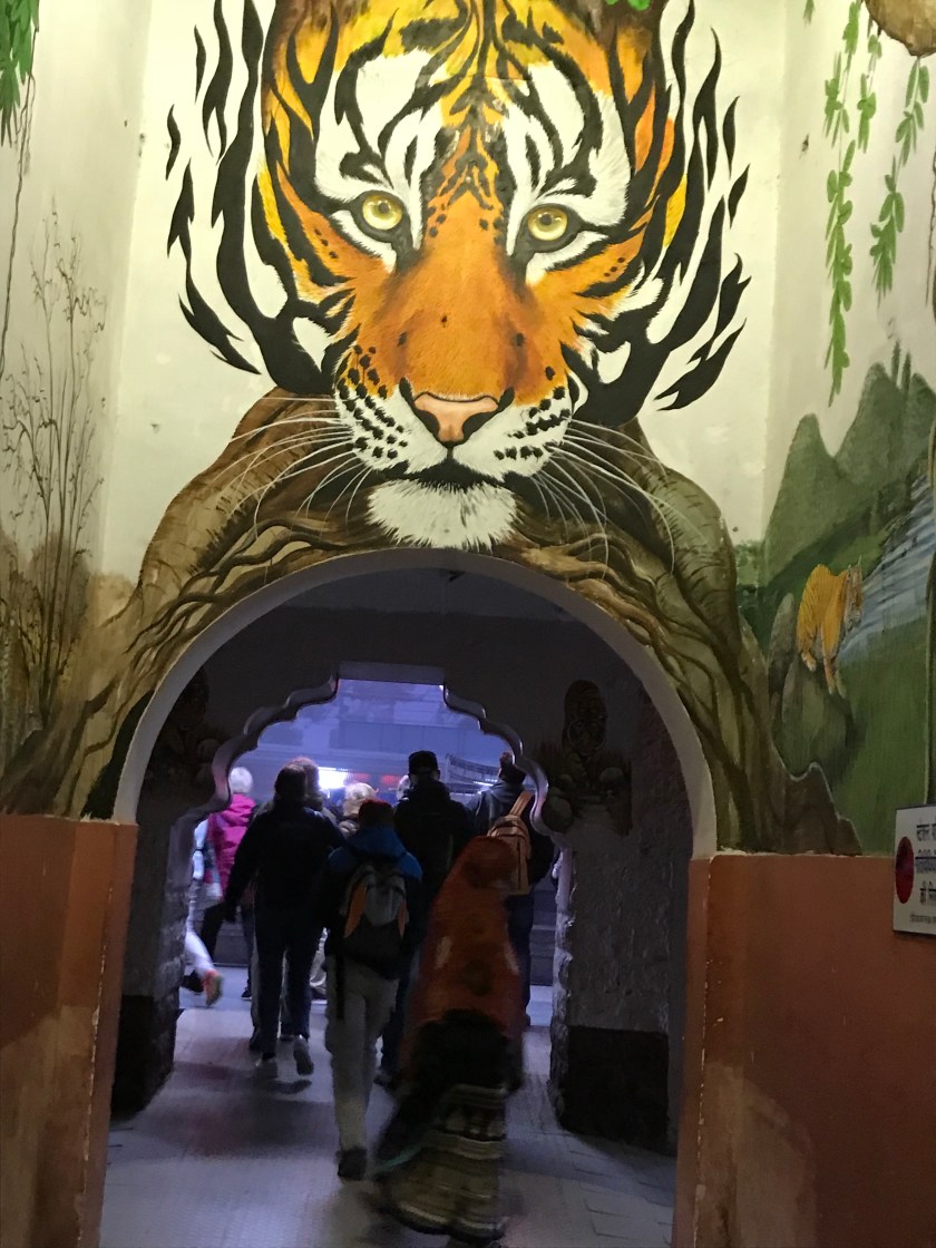 805CC7E4-D1DB-43E8-81CC-2B4CEDD9A425