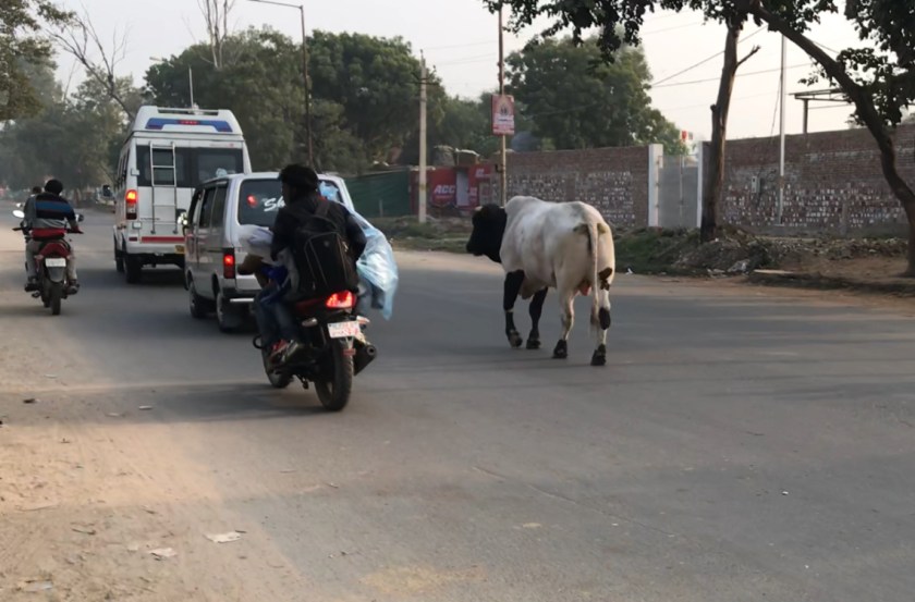 A6AF9B27-DB42-43B5-B015-34BC40F0520E