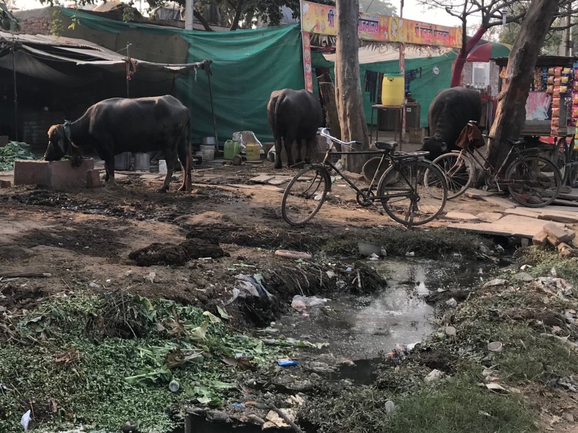 B307D9D4-E2FC-479C-9918-2897CBC469FB