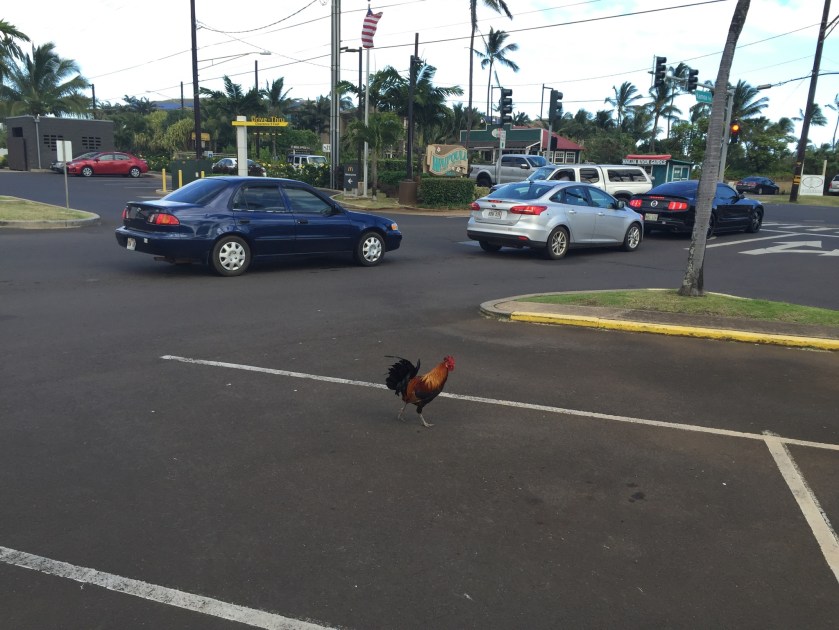 DB21247F-4B1B-4A45-A825-F92EED4FF4D0