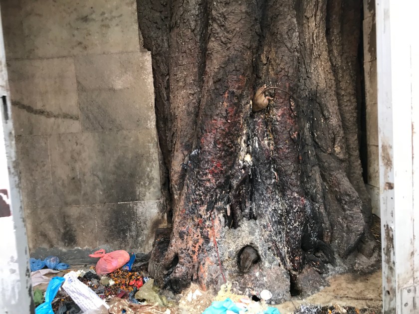 XdJCzjtMQz+IUBjLXkkAEQ