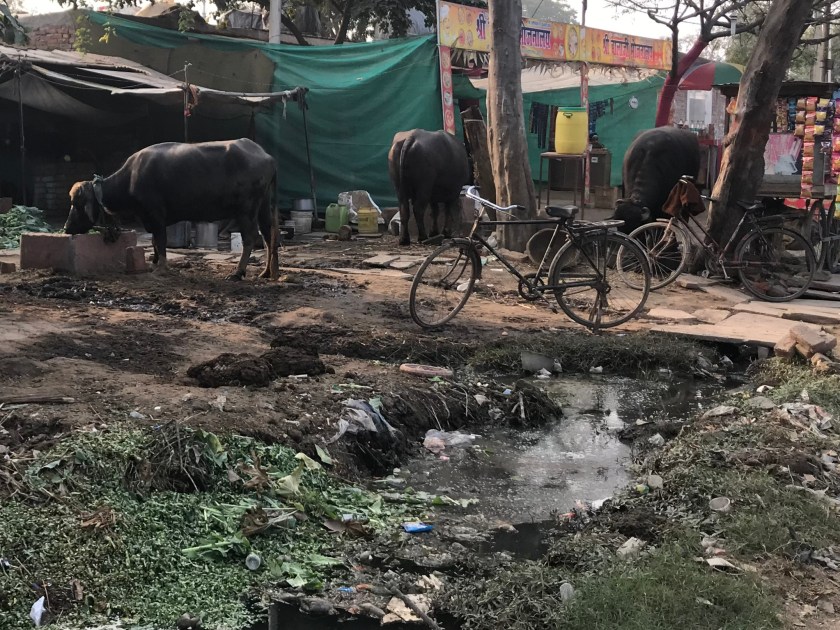 94B7F405-2650-4E84-839C-17C08A479F53