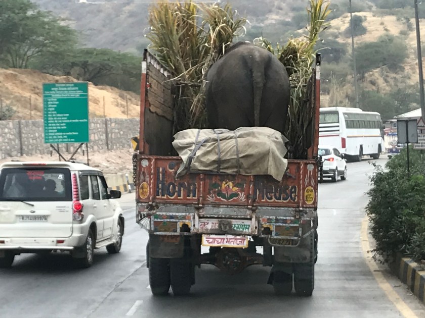 9SyxQPQzRfGDran8Y5T7gQ