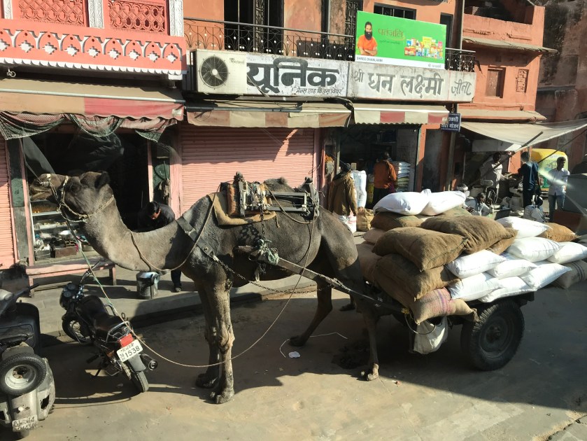 9997A85A-BF02-495D-8783-310D447918A3