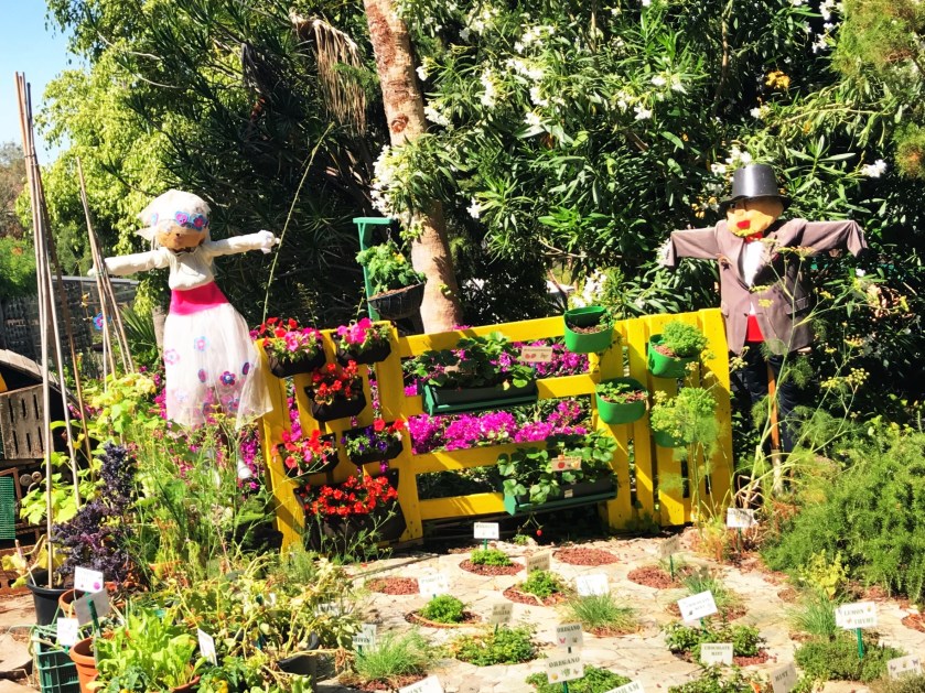 44B6F36C-7B96-4378-8515-4DAFD721663B