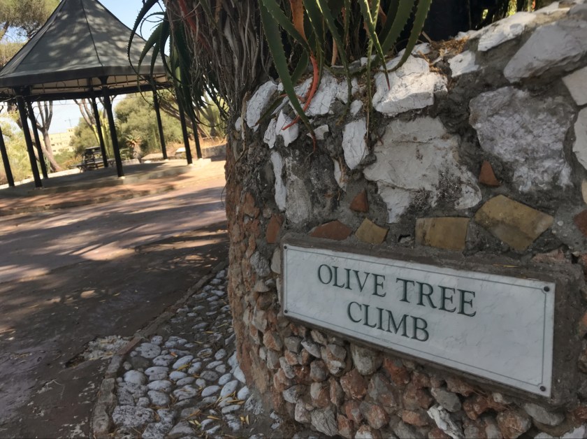 528880D0-2AF1-461B-B36B-3933E5E84D4A