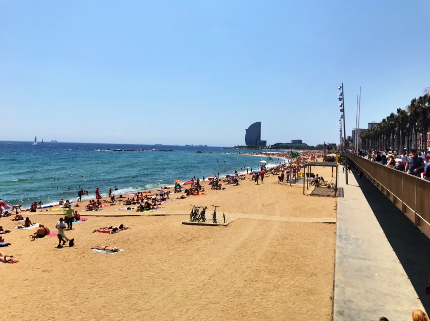 6C4988FD-347A-4BD1-8590-40D25B2D664E