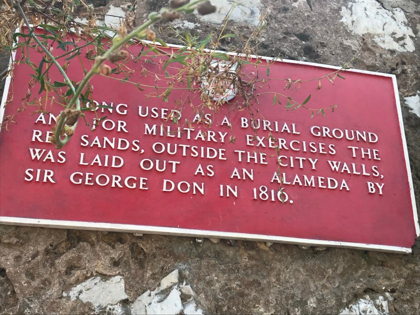 78FCB1DF-09B7-4642-81E6-D399586A9F35