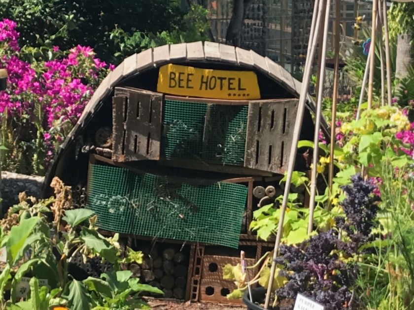 7E61007C-6F6A-4BA9-856C-D511908311D4