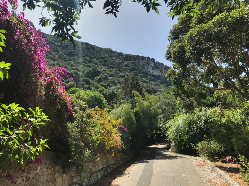 CADC62B0-40C3-407F-B999-19BB18621DE4