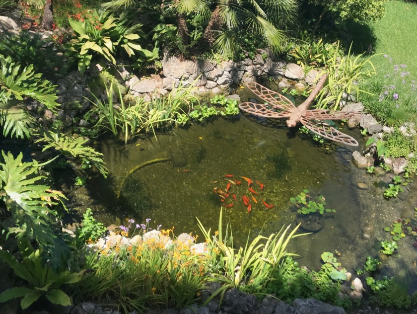 D97217BA-4903-4535-9871-C5FA07339A18