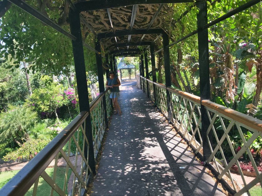 DB6FBB0D-AE4F-4BD1-9599-5BACBC9DC2ED