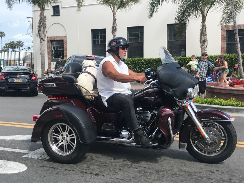 7687AA3D-DD5D-4379-AACE-2F23E124FB92