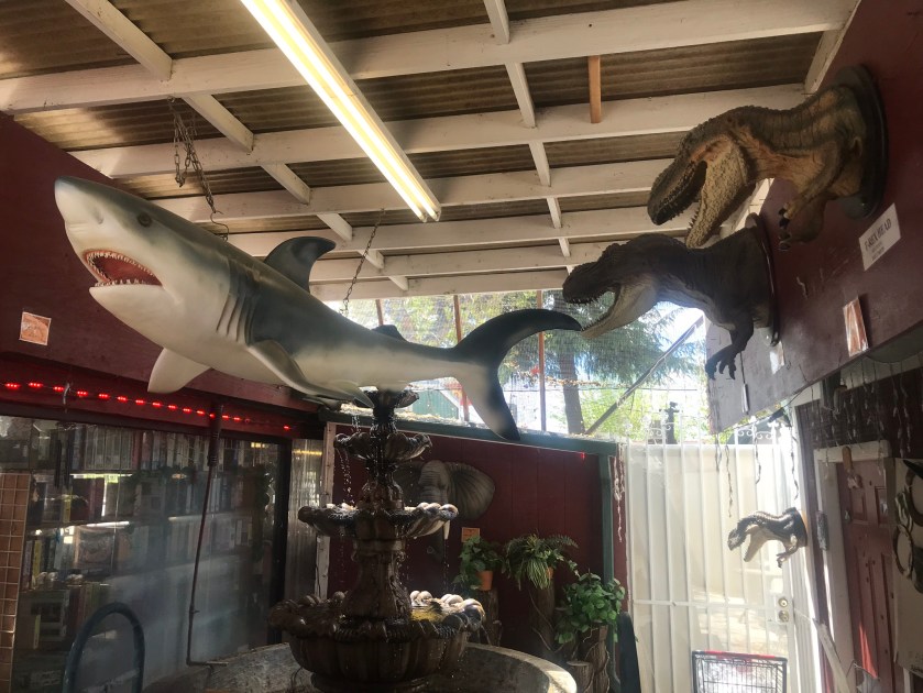 8AC446B3-364C-47A8-91F6-F05C3B3DC907