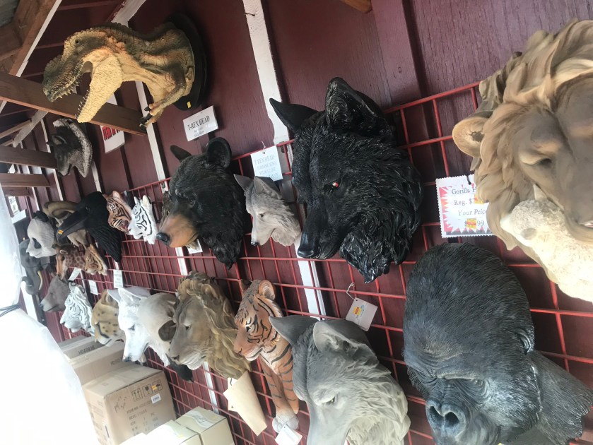 A9D6AE65-C5FD-4DB0-B9D2-AFC0CC195318