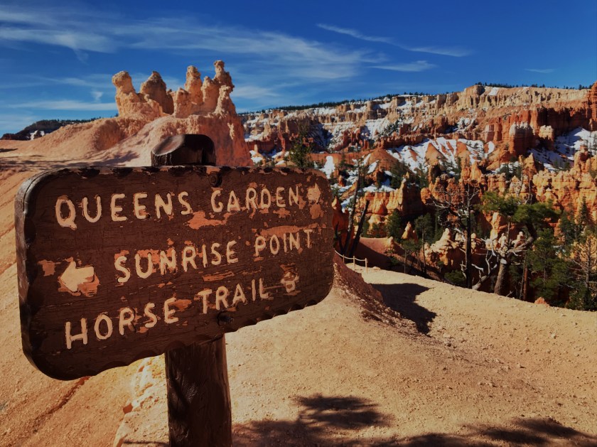 4919C421-918A-49A6-A588-D3A09B11C719