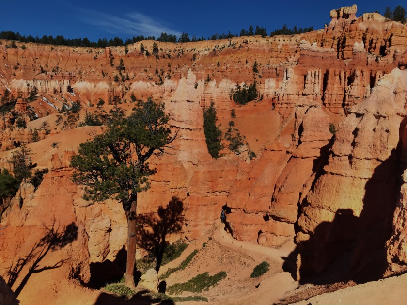 4B9FB826-40FE-45F5-BDA8-EA3ABCCCEEB3