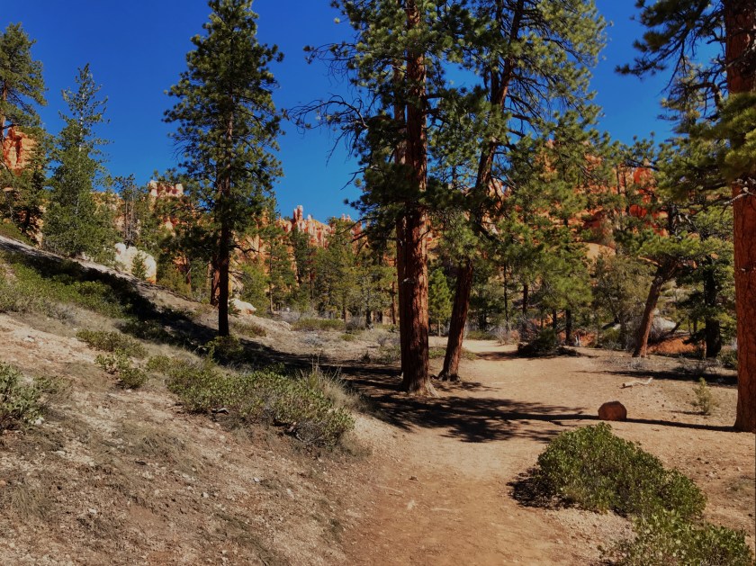 6D46A4C3-BD88-4CA0-89C1-D53035C11D9E