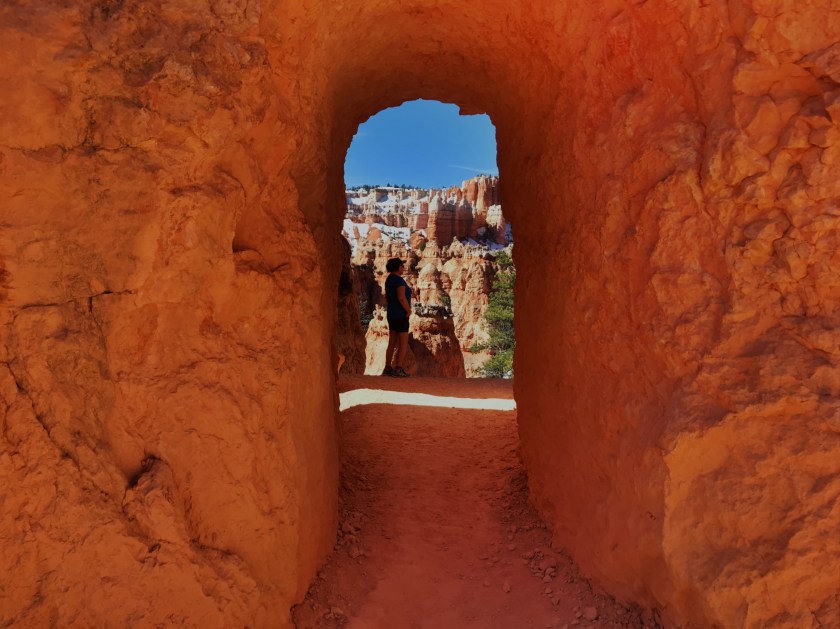 7D583E3D-6A48-444B-AAC7-94E61D562A81