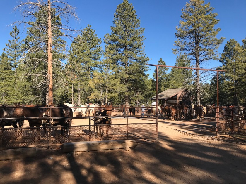 B9815BE5-F2C0-4D90-880A-4E38D0D048CD