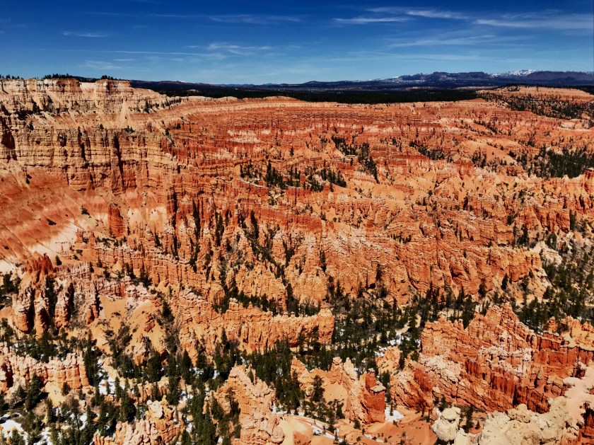 FAAC6E51-593B-4A0A-B078-80CCADADFB9A