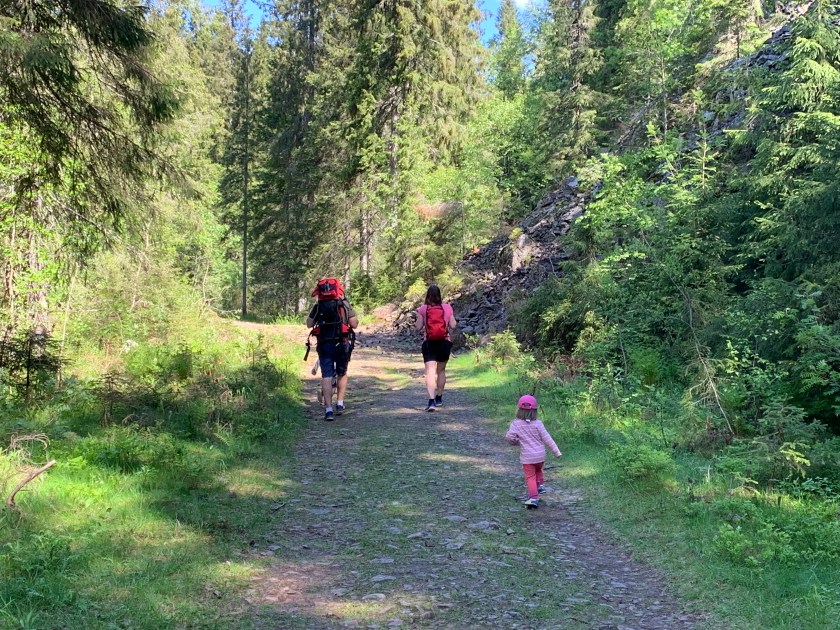 F742B218-EFAF-428D-B3ED-F29D0A597A4F