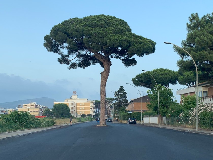 1E931EEF-4B74-4486-84B9-0162D34D031B