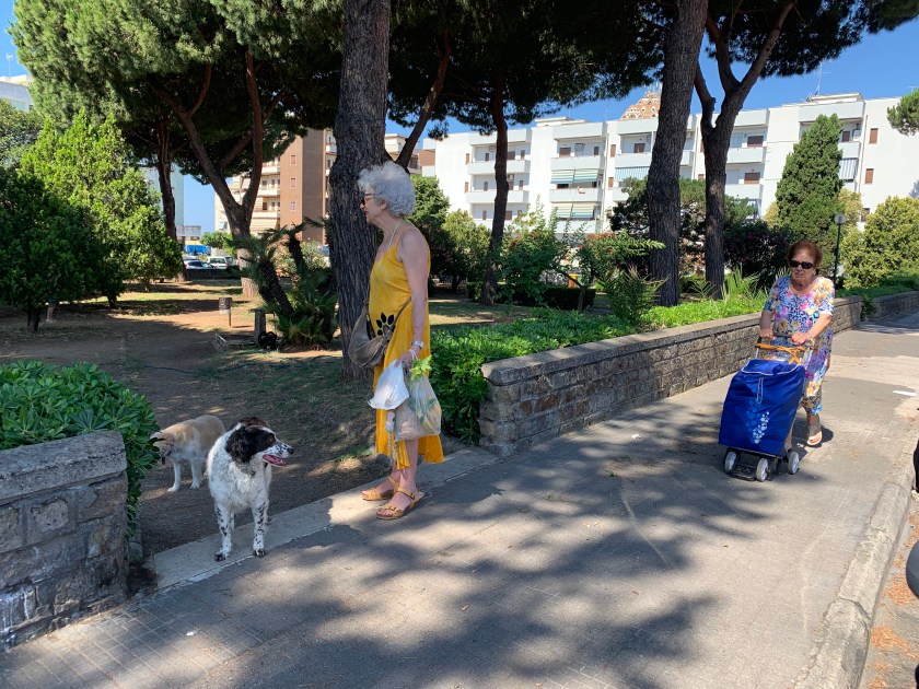 3721A287-82B9-451E-9060-7F69CBA0C0AA