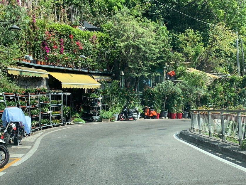 6041702F-21A1-4903-9FAA-40948523C022