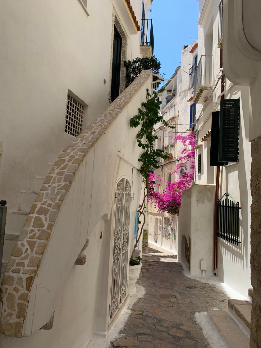 D11E44F3-B1FC-4965-B5FA-58D776FFC859