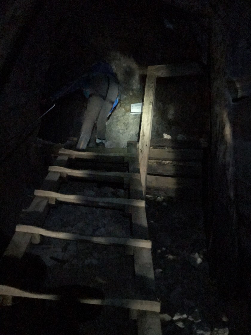 3A984772-3C74-4E3A-8512-88B57FD4EEE4