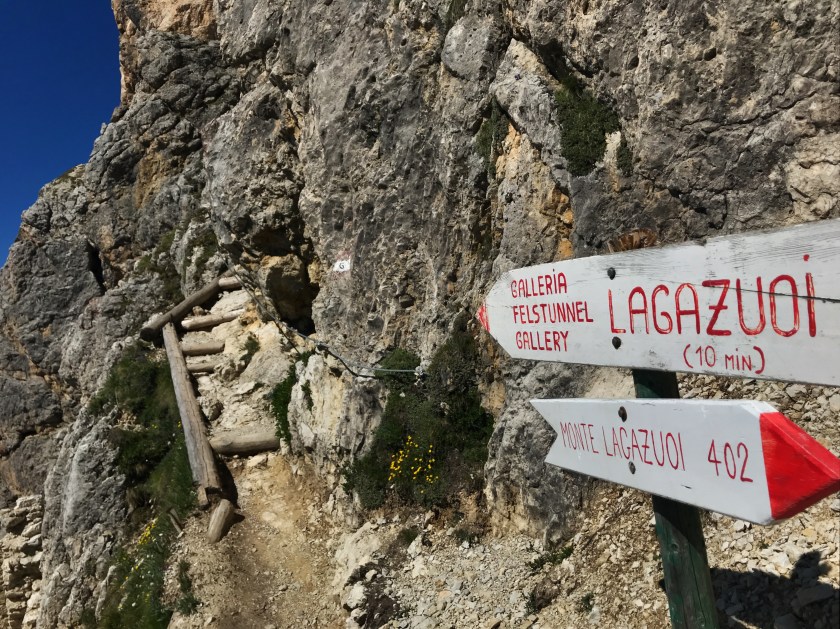 A2CEDD9A-F719-4806-A085-4C514C8EC074